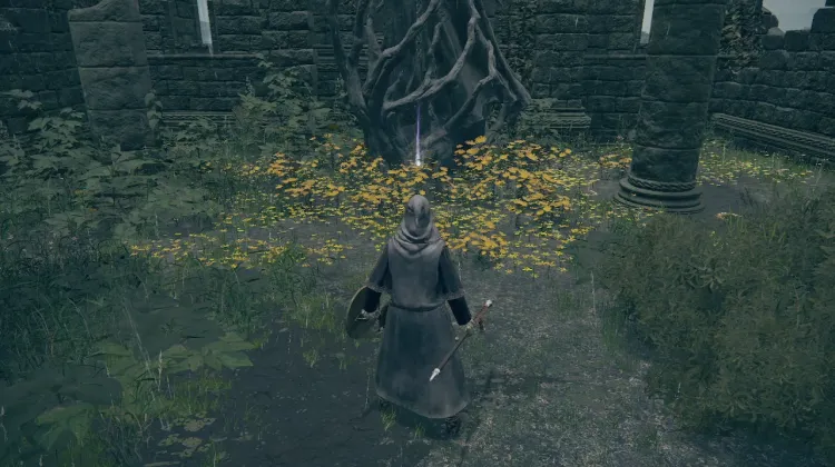 Sacred Tear