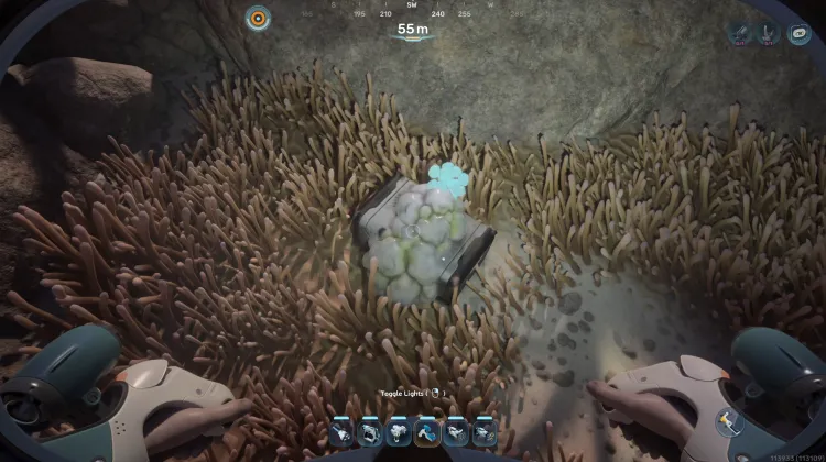 Blighted Supply Crate