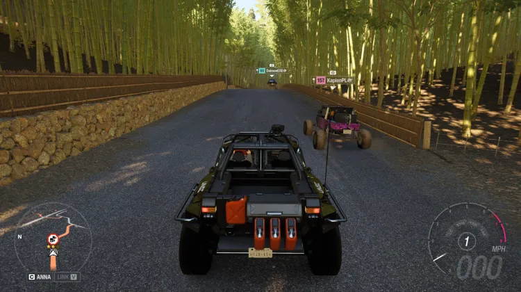 Arashiyama Run