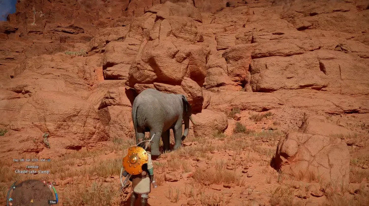 Elefant