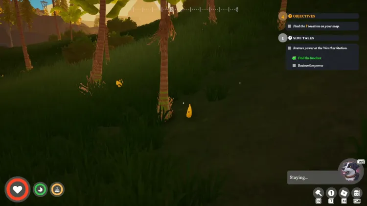 Banana x8