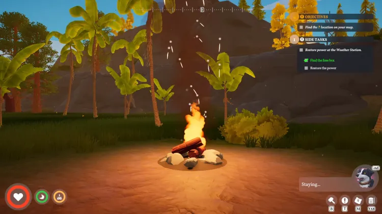 Go Bananas Campsite