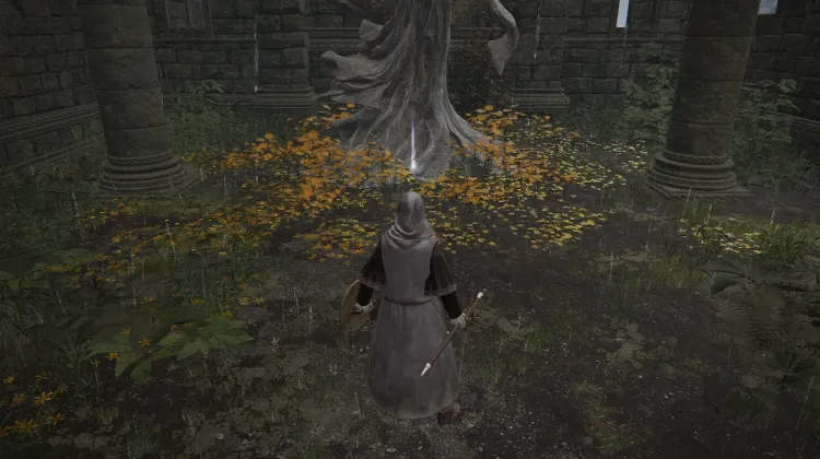 Sacred Tear