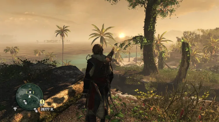 Animus Fragment