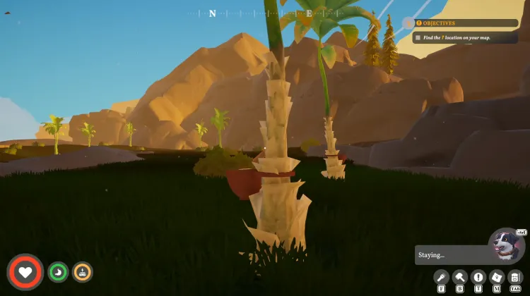 Rubber Tree Tap x3