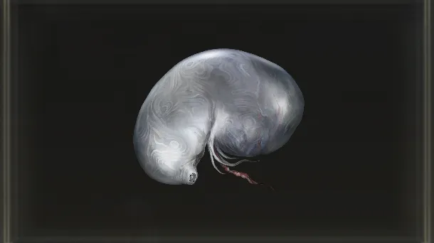 Larval Tear