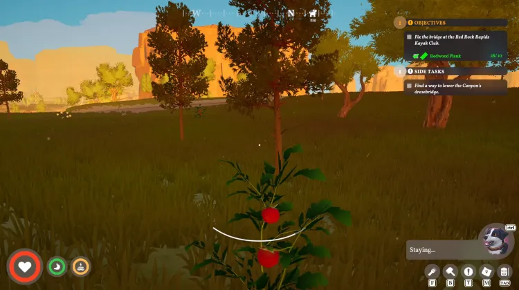 Wild Tomatoes x4
