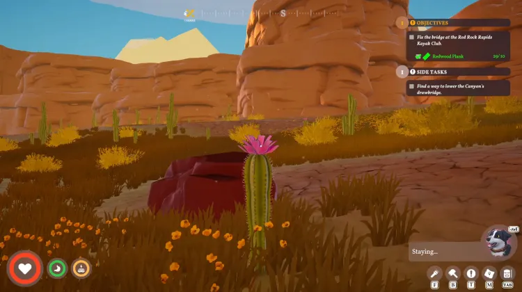 Cactus Flower x2