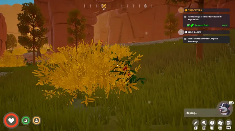 Wild Tomatoes x2