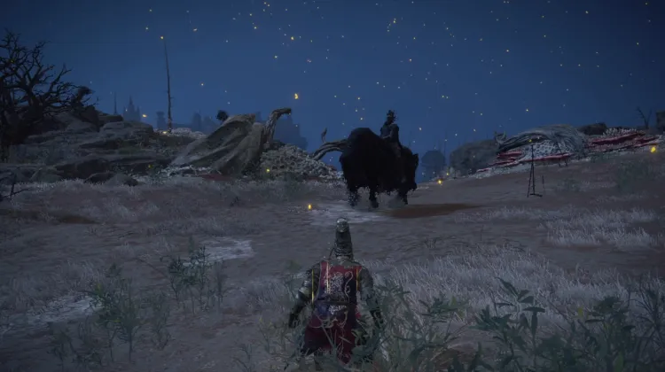 Cavaliere della Notte