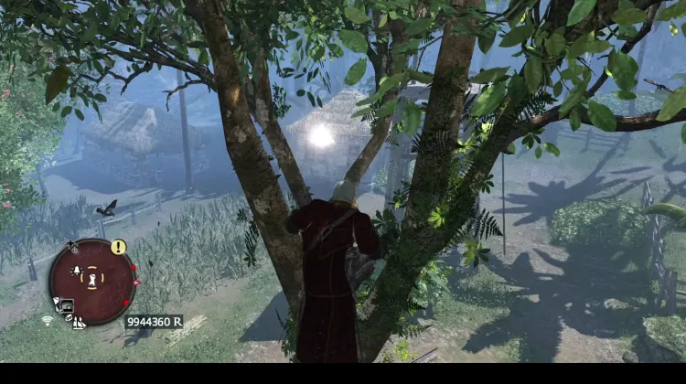 Animus Fragment