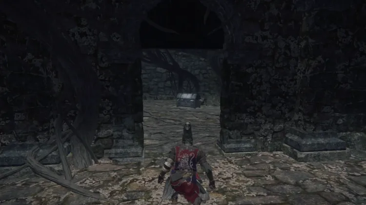 Visage Shield