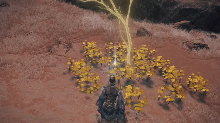 Golden Seed