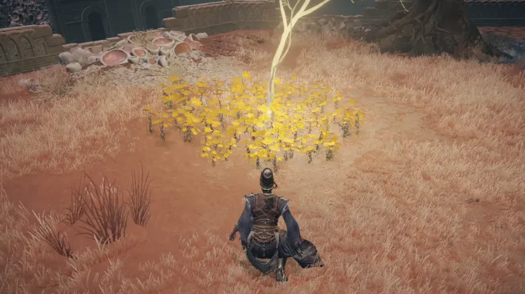 Golden Seed