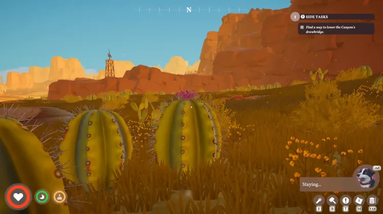 Cactus Flower x8