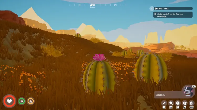 Cactus Flower x6