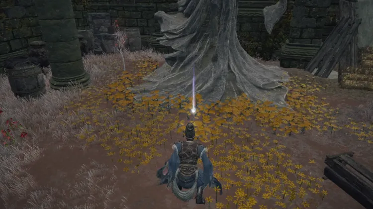 Sacred Tear