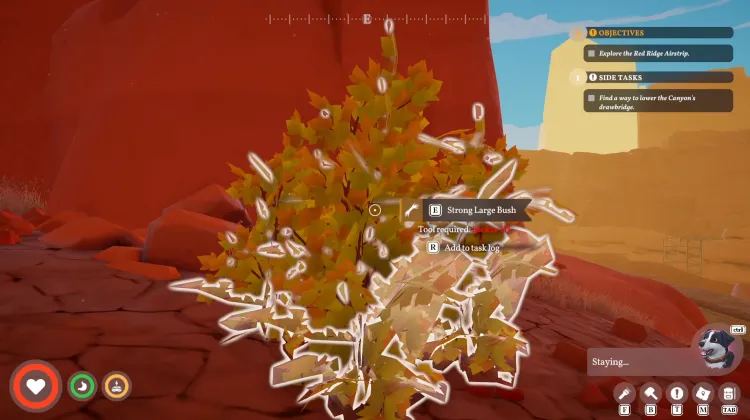 Strong Large Bush