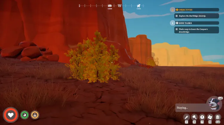 Strong Large Bush x2