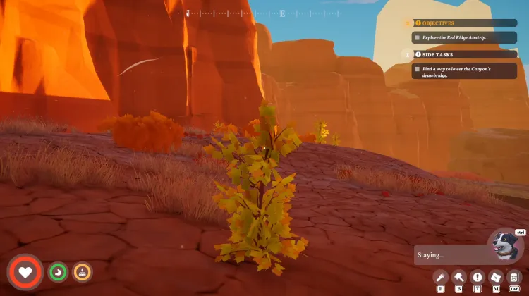 Strong Bush x5