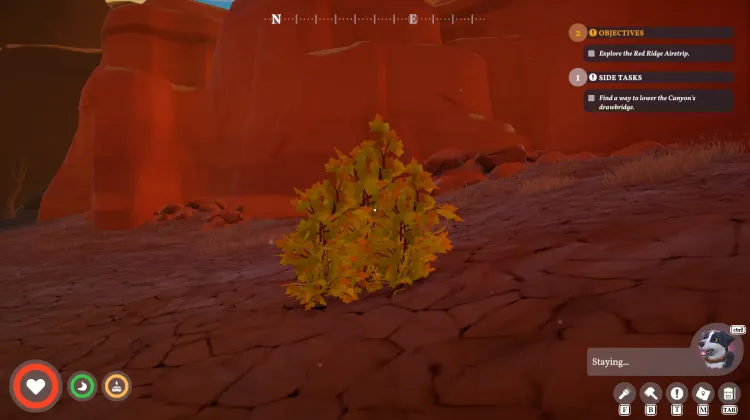 Strong Large Bush