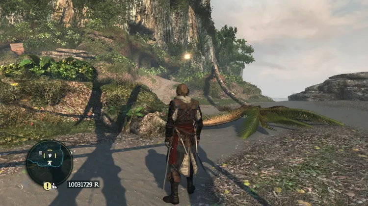 Animus Fragment