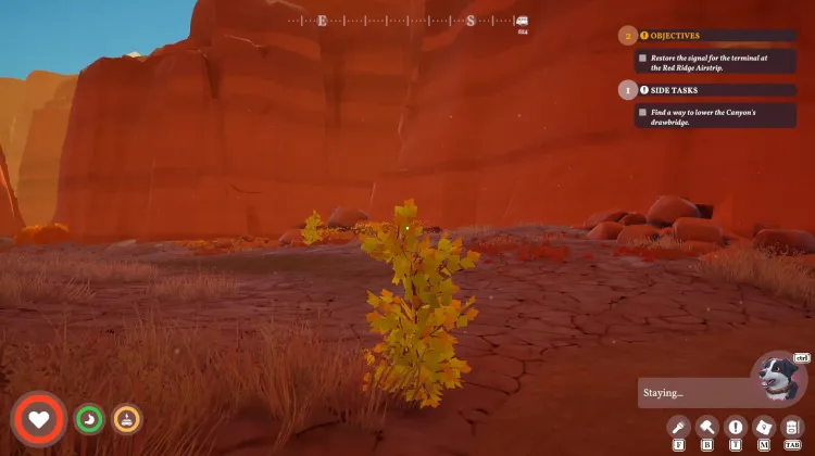 Strong Bush x2
