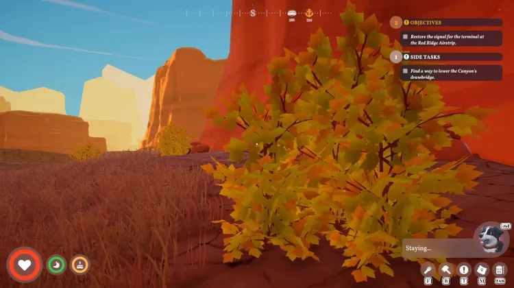 Strong Large Bush x3