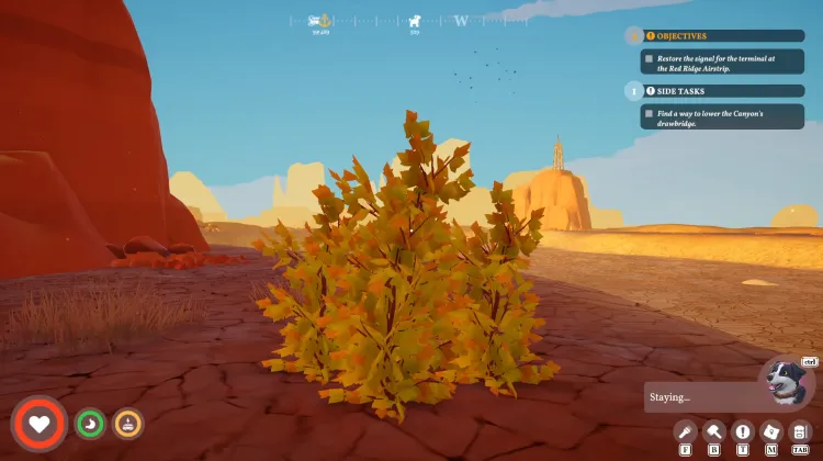 Strong Large Bush