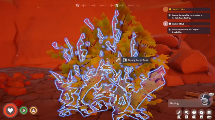 Strong Large Bush