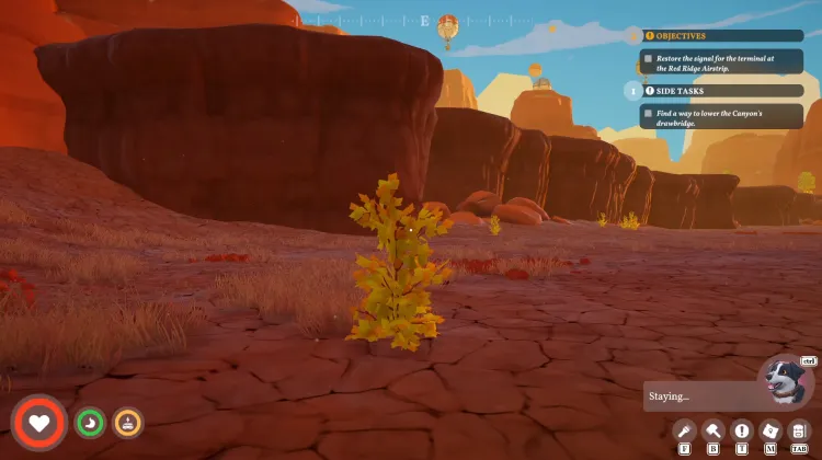 Strong Bush x3