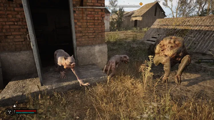 Bayun, Cães Cegos e Roedores