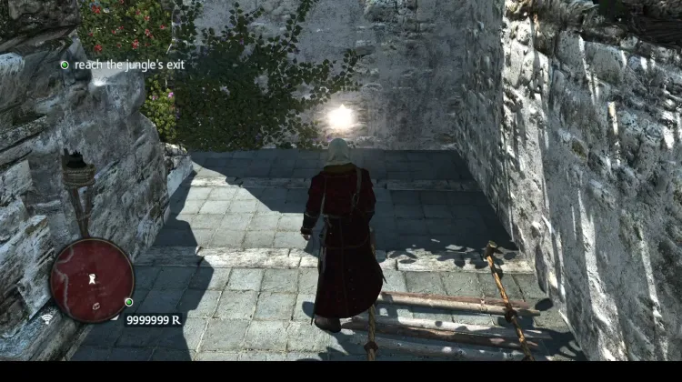 Animus Fragment