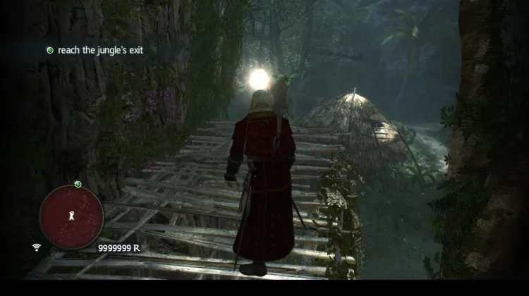Animus Fragment