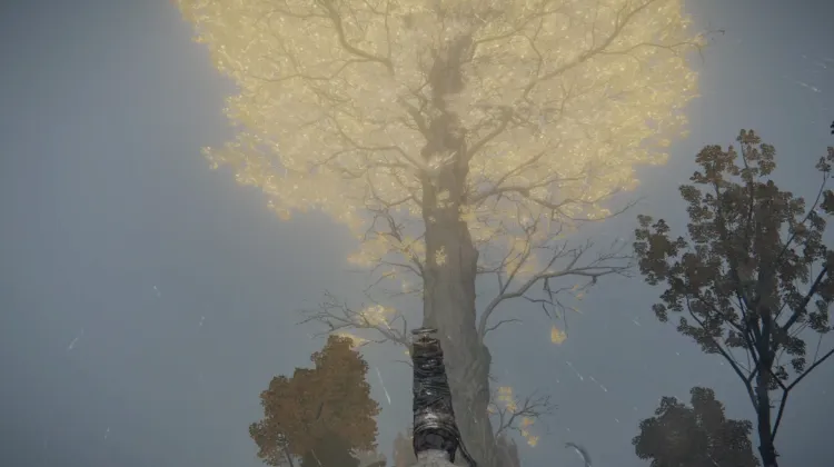 Minor Erdtree
