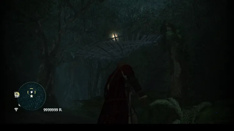 Animus Fragment