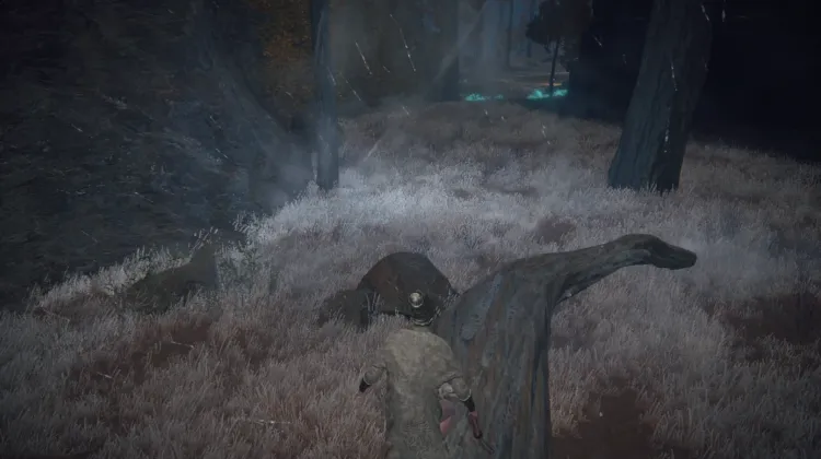 Spiritspring Jump