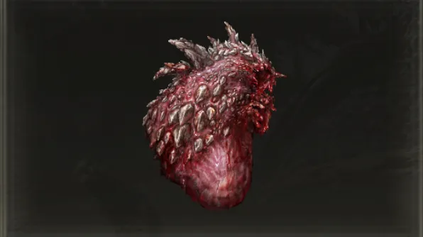 Cuore di Drago x 5