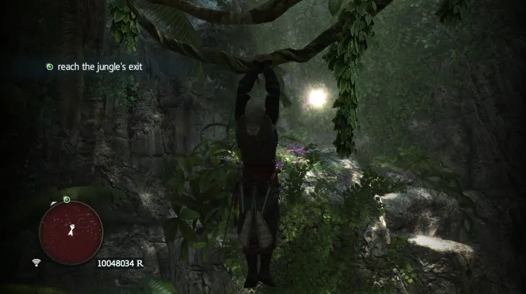 Animus Fragment