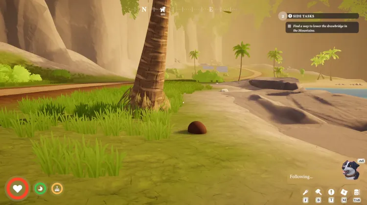 Coconut