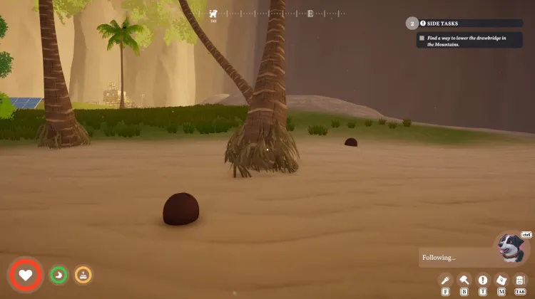 Coconut x2