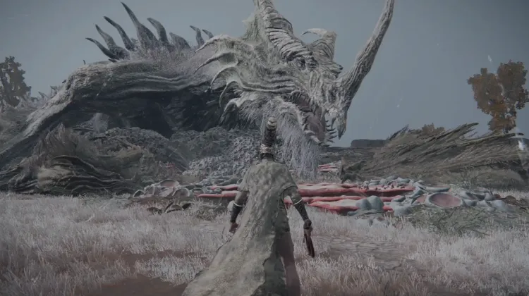 Elder Dragon Greyoll