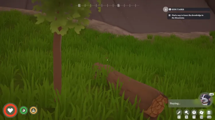 Blossomwood Tree (dead)