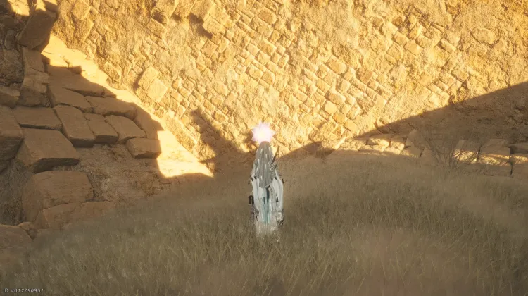 Fiore di Udumbara