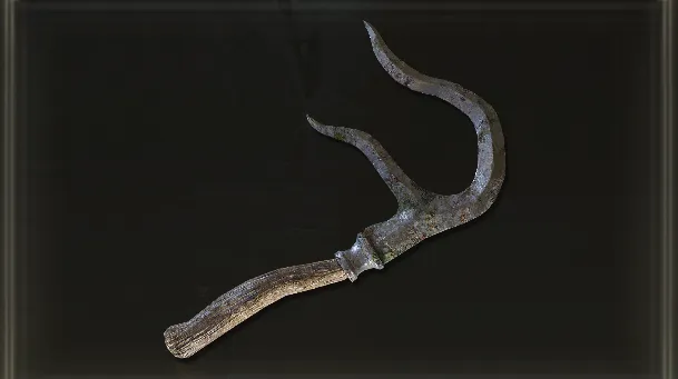 Accetta Biforcuta