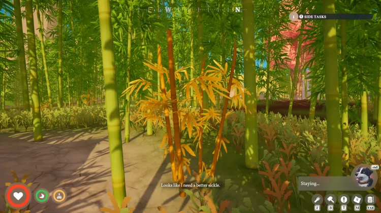Bamboo