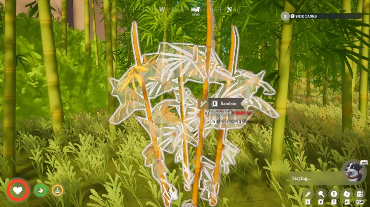 Bamboo