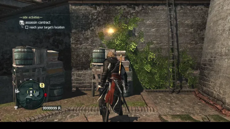 Animus Fragment