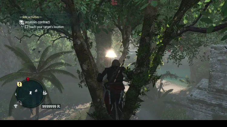 Animus Fragment