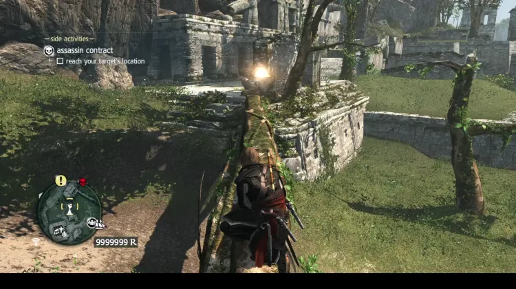 Animus Fragment